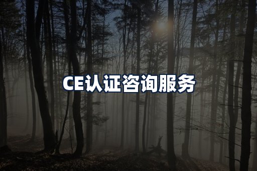 CE认证咨询服务